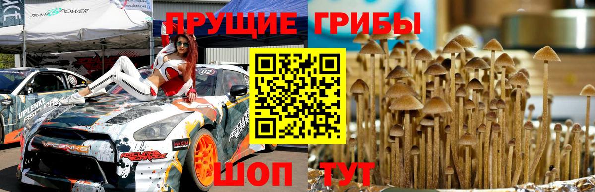 Псилоцибиновые грибы Psilocybe  Вход с VPN  Галлюциногенные грибы Psilocybine cubensis  Ростов-на-Дону 